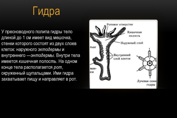 Кракен даркнет текст